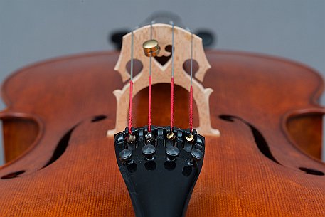 Violoncello von Noëlle Baechler Port