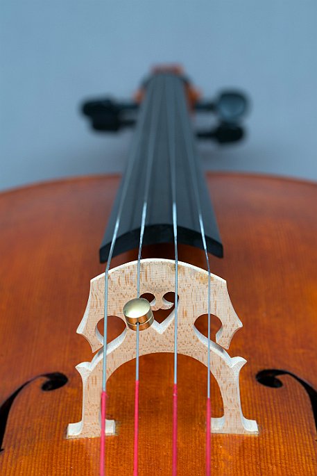 Violoncello von Noëlle Baechler Port