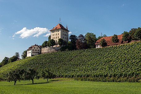 Schloss Heidegg | Luzern Das Schloss Heidegg liegt in Gelfingen im Luzerner Seetal in der Schweiz, hoch über dem Baldeggersee, inmitten einer weitgehend erhaltenen Park- und...